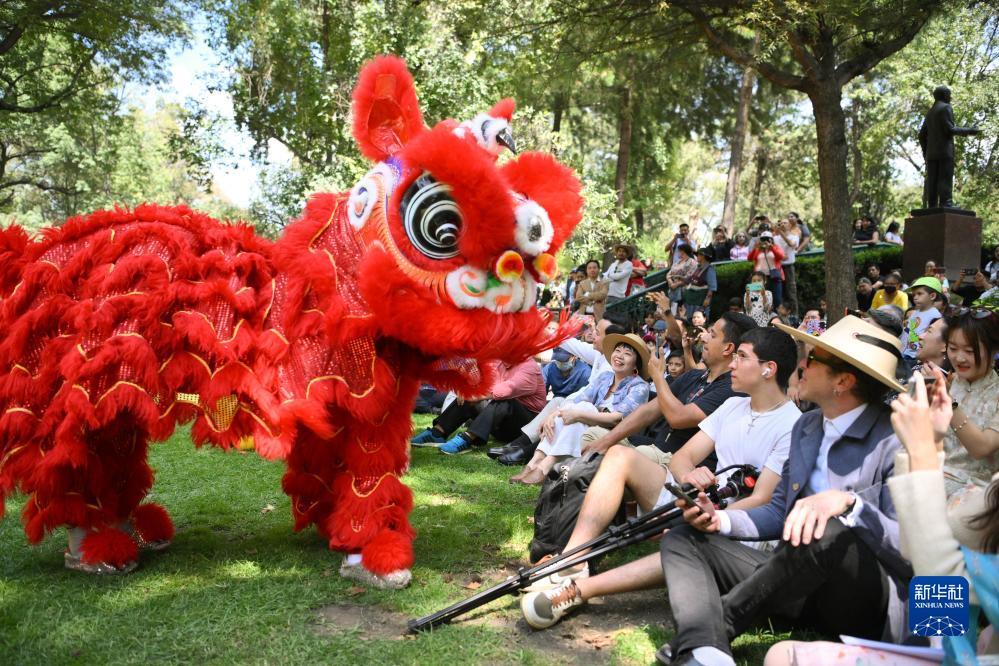 下载澳门网站